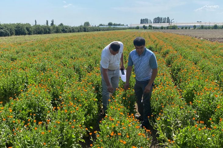 IMG_20220625_134738_474