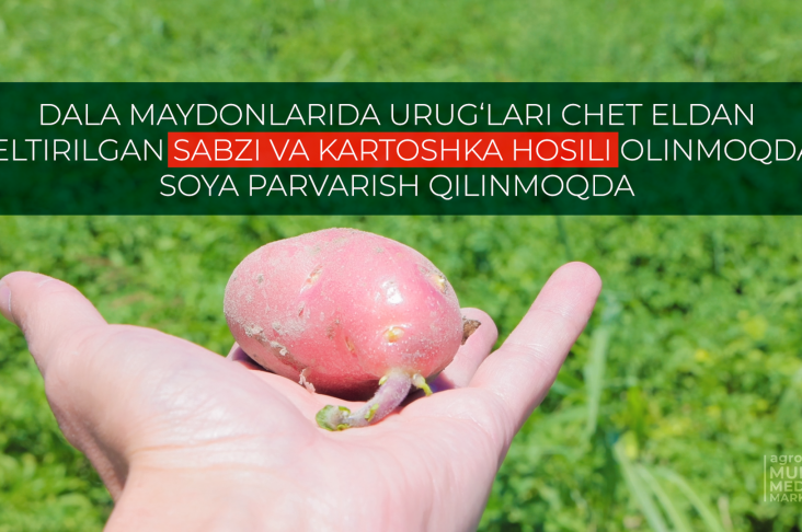 ИСХОД.00_00_00_00.Still012