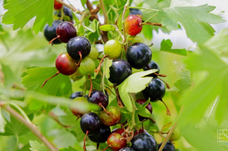 ИСХОД.00_00_11_13.Still003