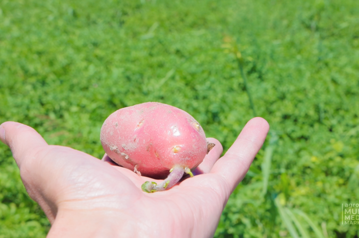 ИСХОД.00_00_32_23.Still008