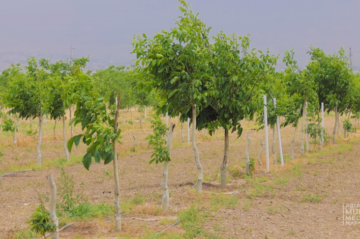 MASTER.00_00_24_07.Still013