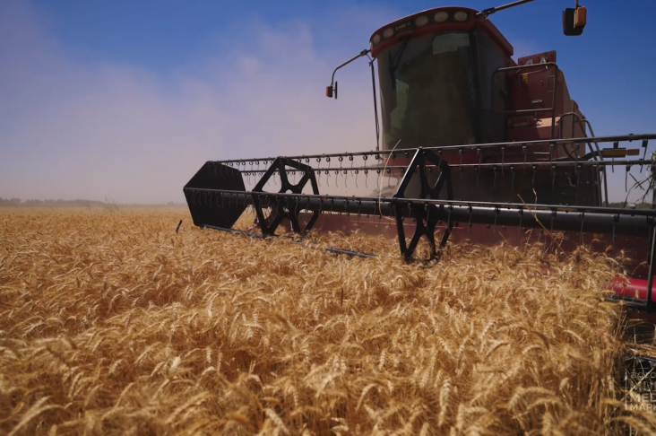 ok_1.00_00_38_00.Still005