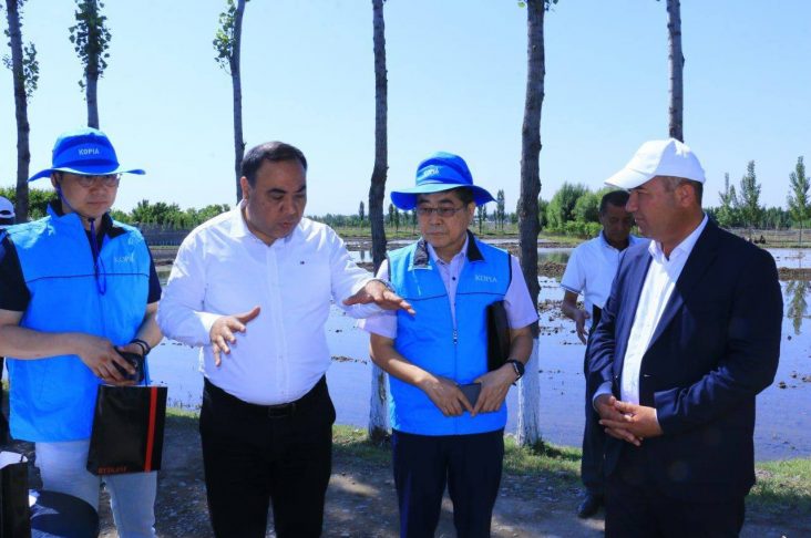 photo_2022-06-03_14-12-31