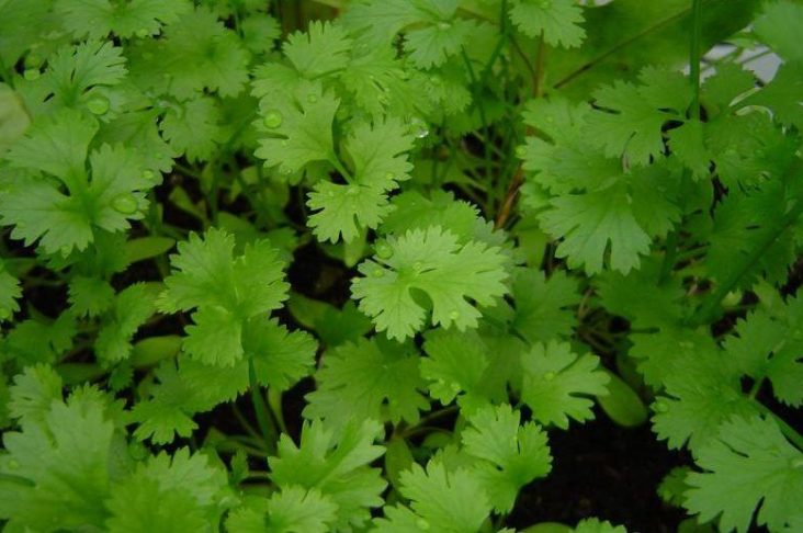 photo_2022-06-08_15-23-16