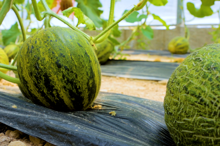 Sequence 01.00_01_10_22.Still007