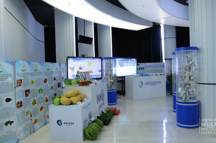 YARMARKA 06.06.2022.00_00_13_23.Still002