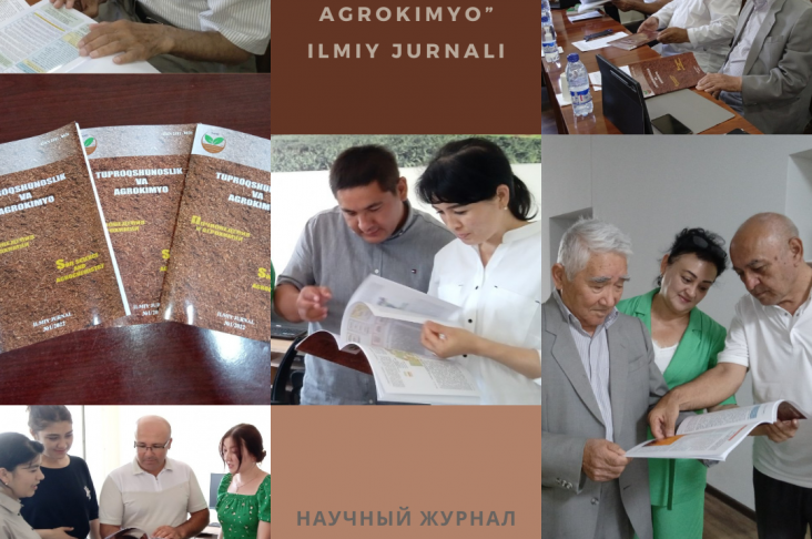 Aesthetic Photography Portfolio Collage Instagram Post