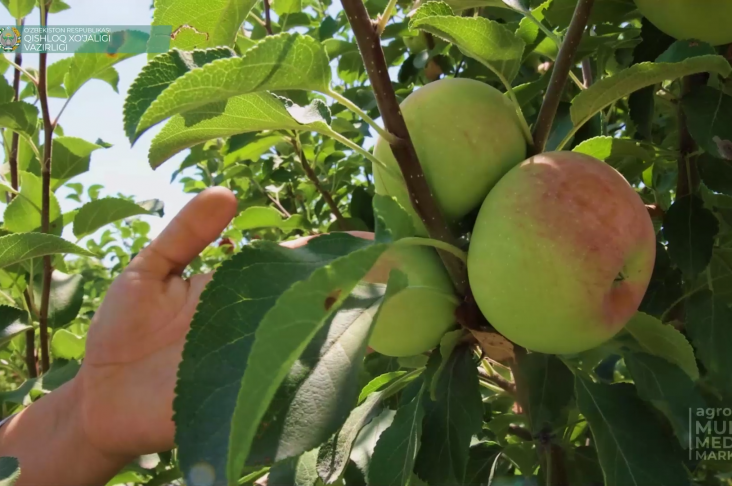 image_2022-07-23_12-51-26