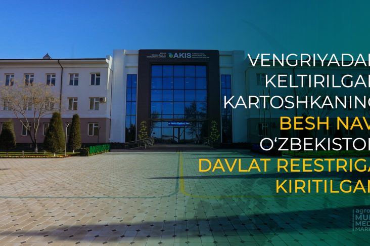 MASTER.00_00_05_09.Still013