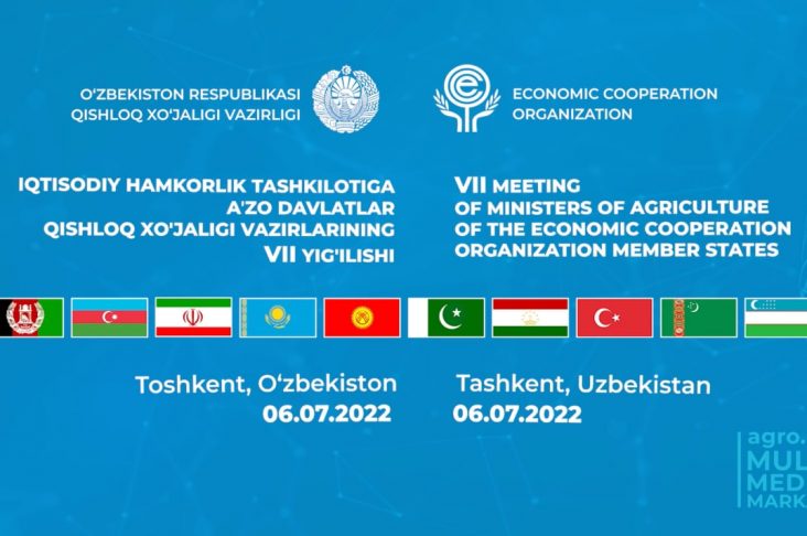 photo_2022-07-07_10-44-30