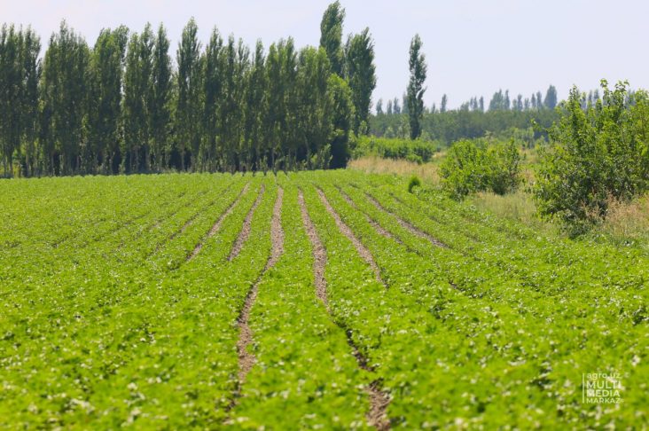 photo_2022-07-07_15-39-40