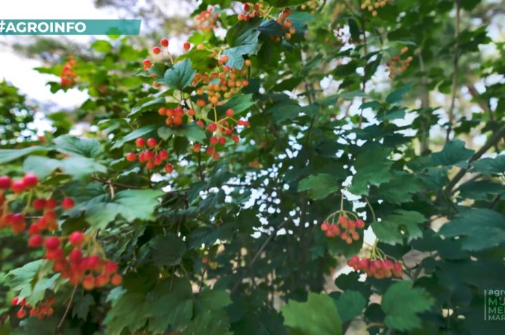 photo_2022-07-12_16-17-59