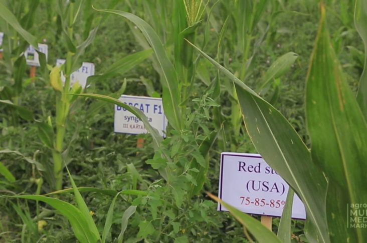 photo_2022-07-16_10-49-47