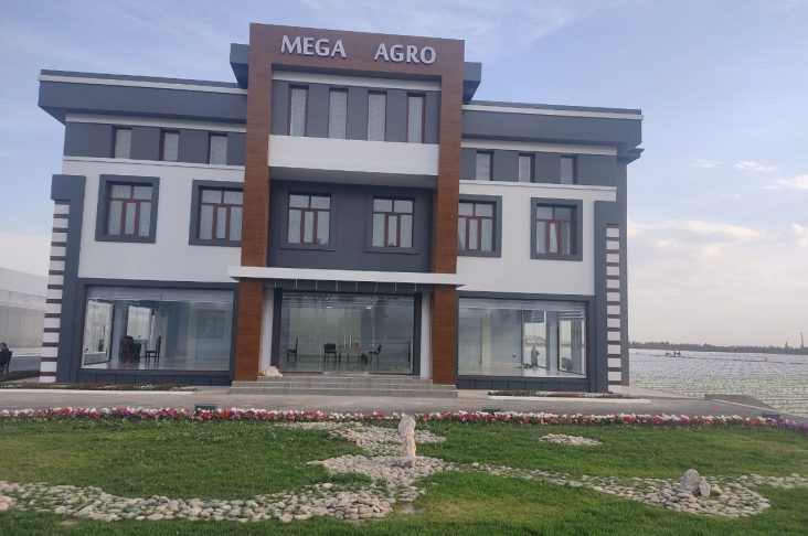 photo_2022-07-25_22-38-50