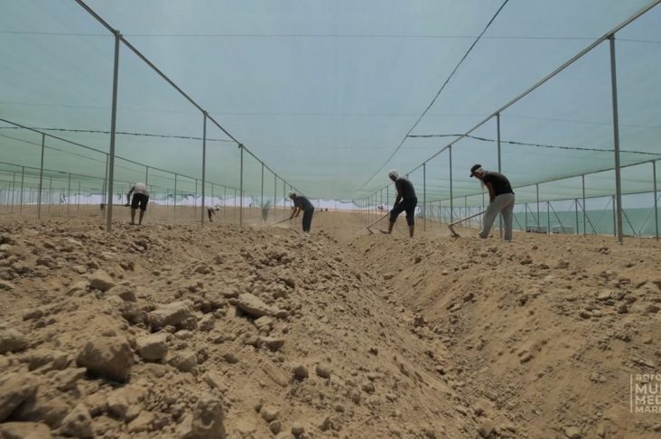 photo_2022-07-29_00-24-35