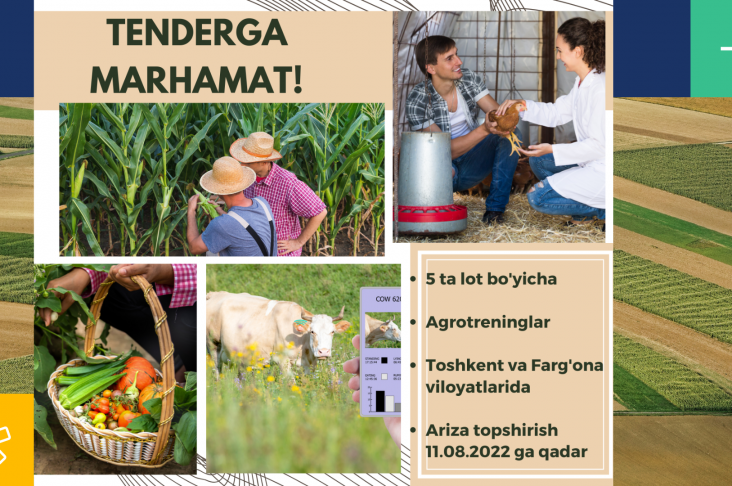 Синяя Красная Зеленая и Желтая Фотоколлаж Современная Совещание в Компании Презентация (1)