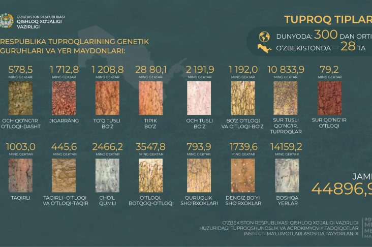 тупрокшунослик-01