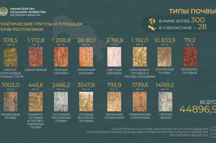 тупрокшунослик-02