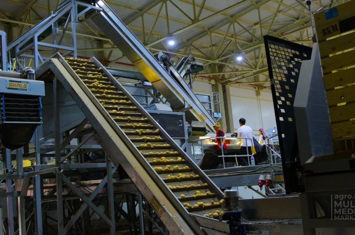 Kartoshka pererabotka.00_00_47_00.Still006