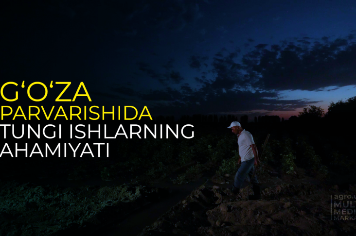 PAXTA SUGORISH.00_00_13_15.Still019