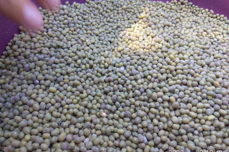 photo_2022-06-20_11-42-18