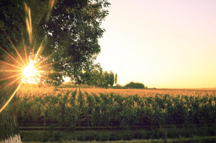 photo_2022-08-02_18-10-14