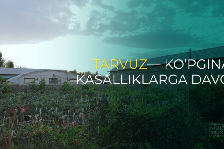 photo_2022-08-03_15-59-25