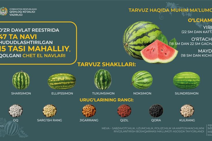 photo_2022-08-03_18-36-55