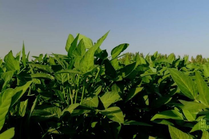 photo_2022-08-04_10-58-35