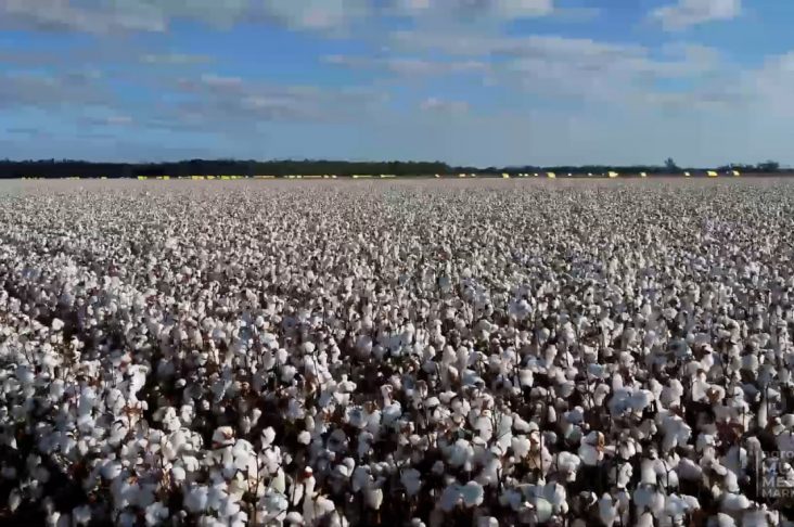 photo_2022-08-04_14-53-59