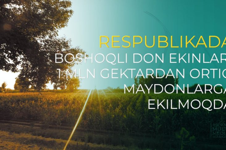 photo_2022-08-06_11-59-03