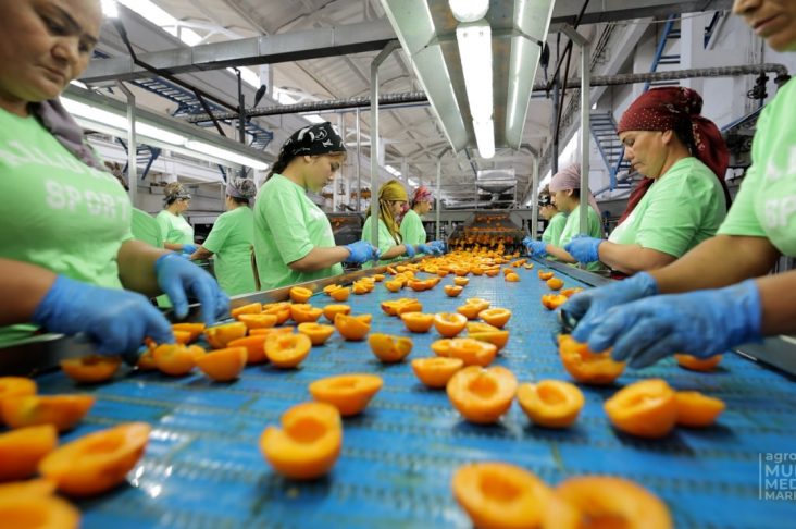 photo_2022-08-09_10-28-37