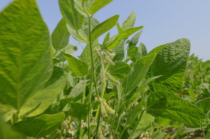 photo_2022-08-09_11-24-16