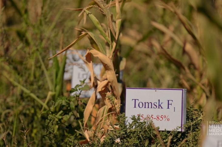 photo_2022-08-10_09-48-15