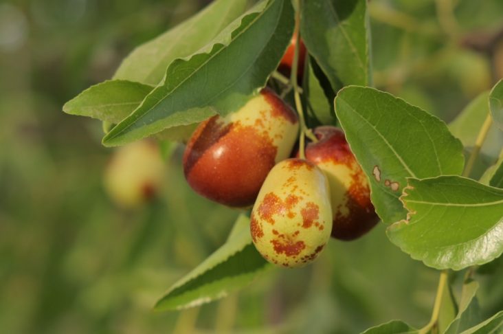 photo_2022-08-12_13-52-40