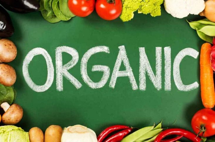 photo_2022-08-12_19-36-13