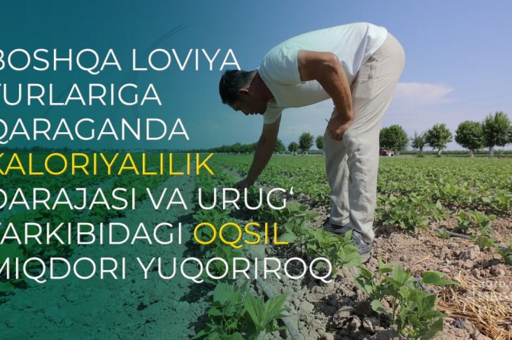 photo_2022-08-13_11-44-25