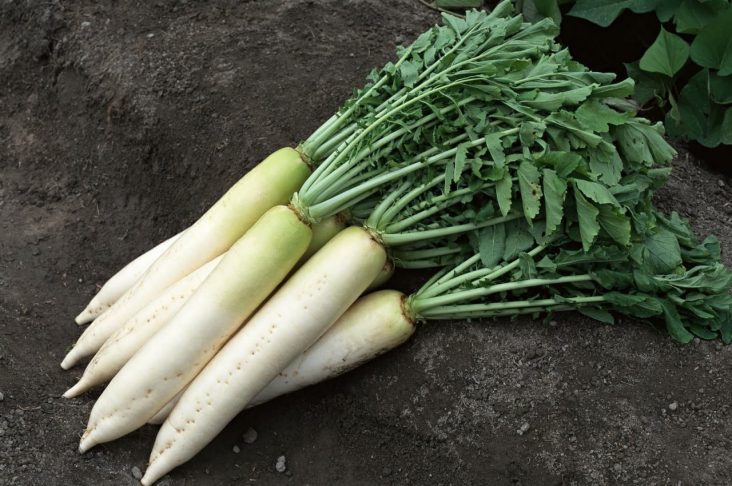 photo_2022-08-16_11-17-07