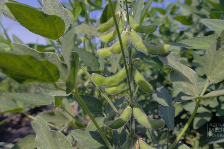 photo_2022-08-16_12-19-53