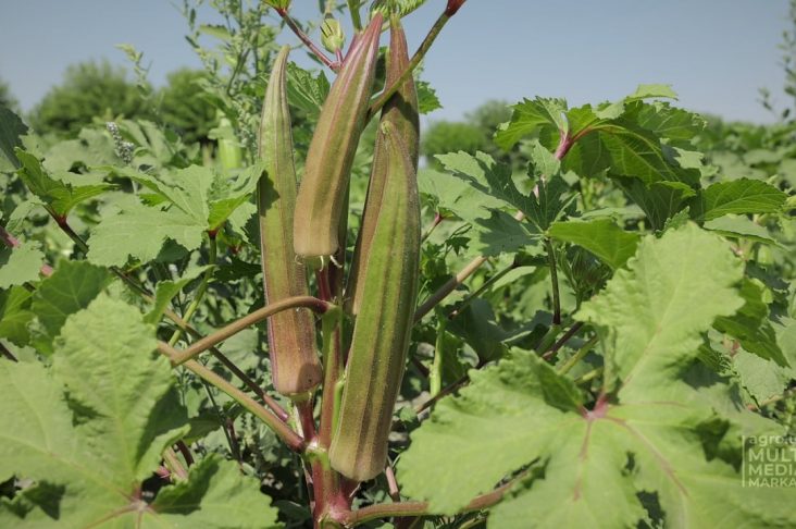 photo_2022-08-20_23-15-01