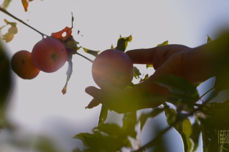 photo_2022-08-22_12-11-28