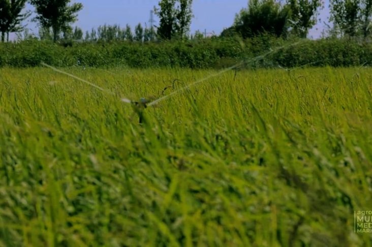 photo_2022-08-29_09-30-53