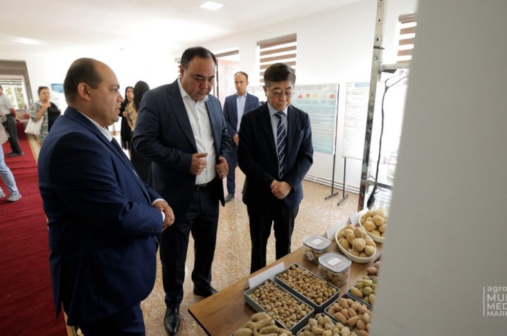 корейский центр 3