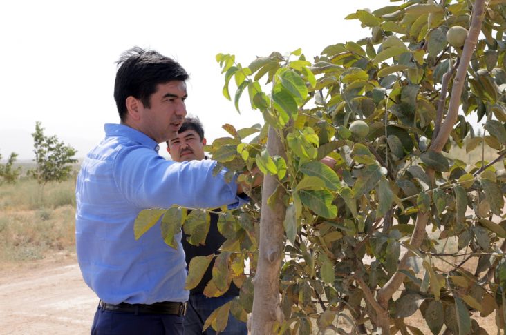 Обложка Джизак