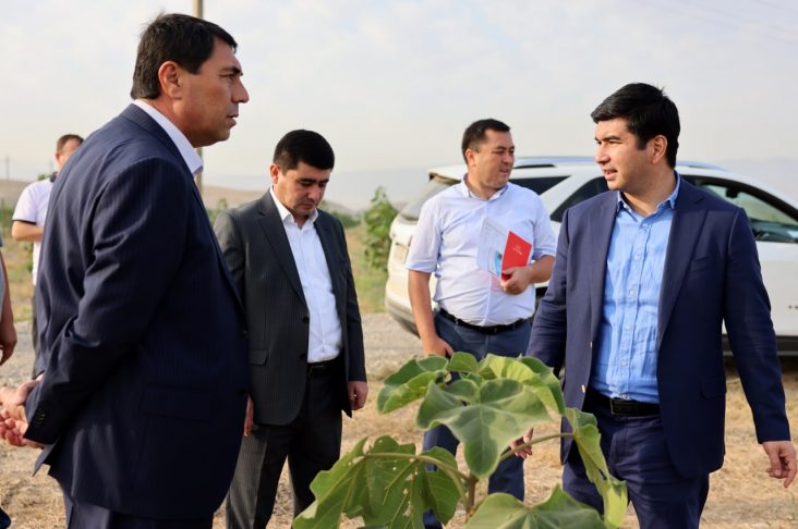 первая фото 1