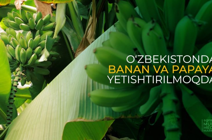 photo_2022-09-03_21-48-26