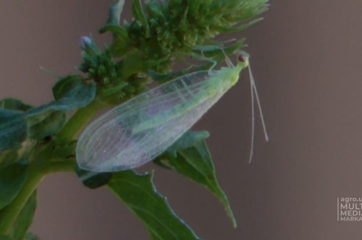 photo_2022-09-05_11-24-58