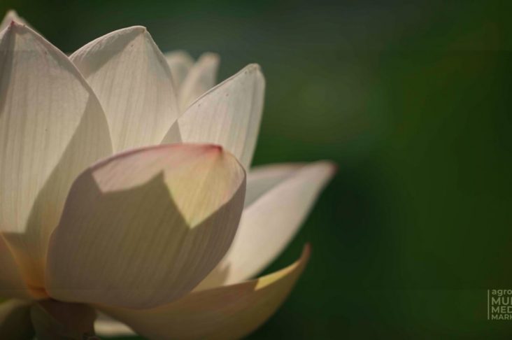 photo_2022-09-05_15-37-29