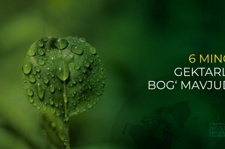 photo_2022-09-09_16-39-59