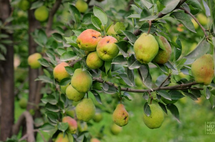 photo_2022-09-22_22-48-27